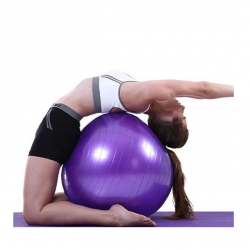 Ballon Sport Yoga  65 CM Mauve.
